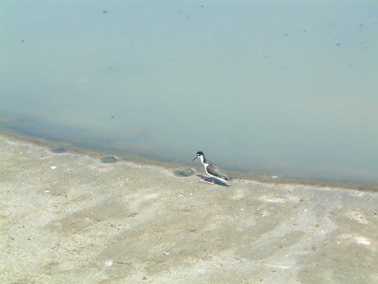 Image of :20030921_newportbeachB.JPG