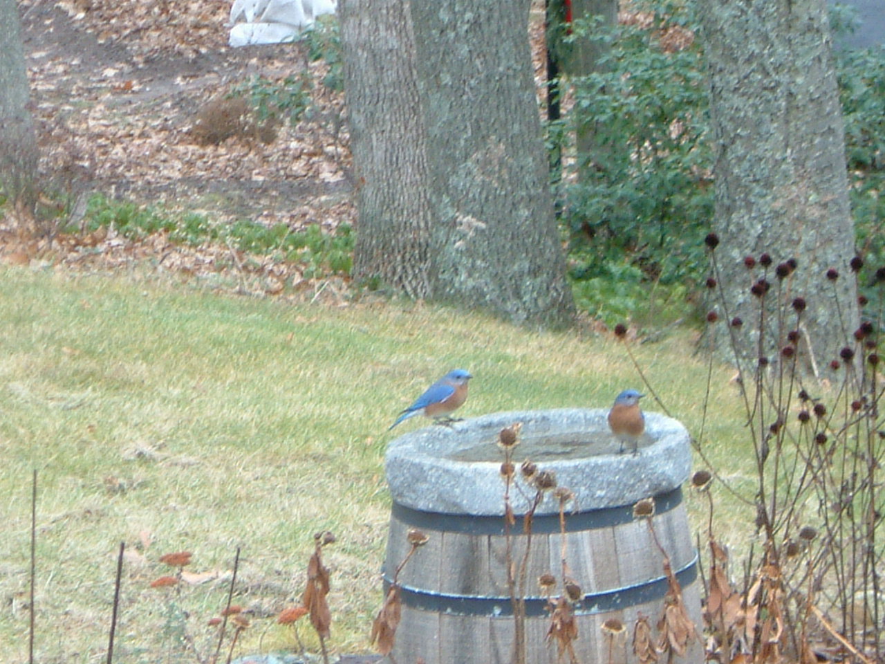 Image of :20050103_home.JPG