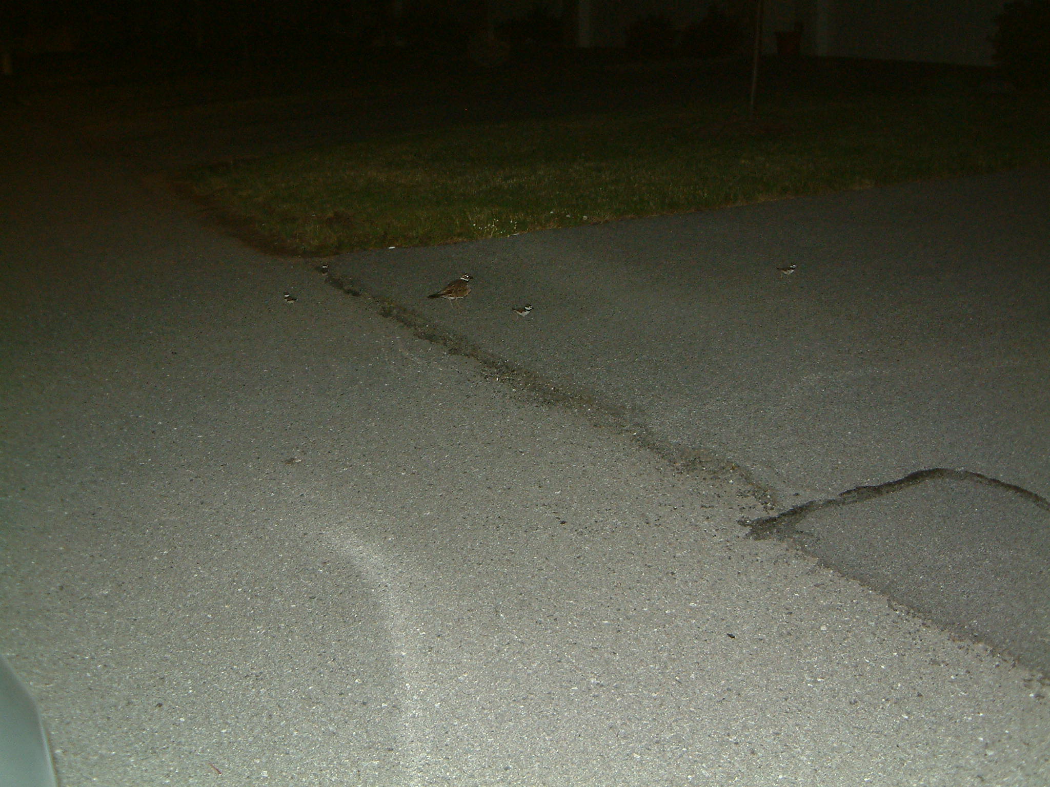 Image of :20060630_rochester.JPG