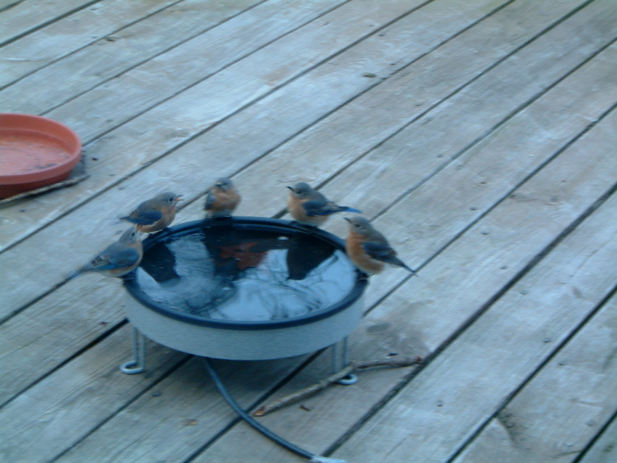 Image of :20061222_home.JPG