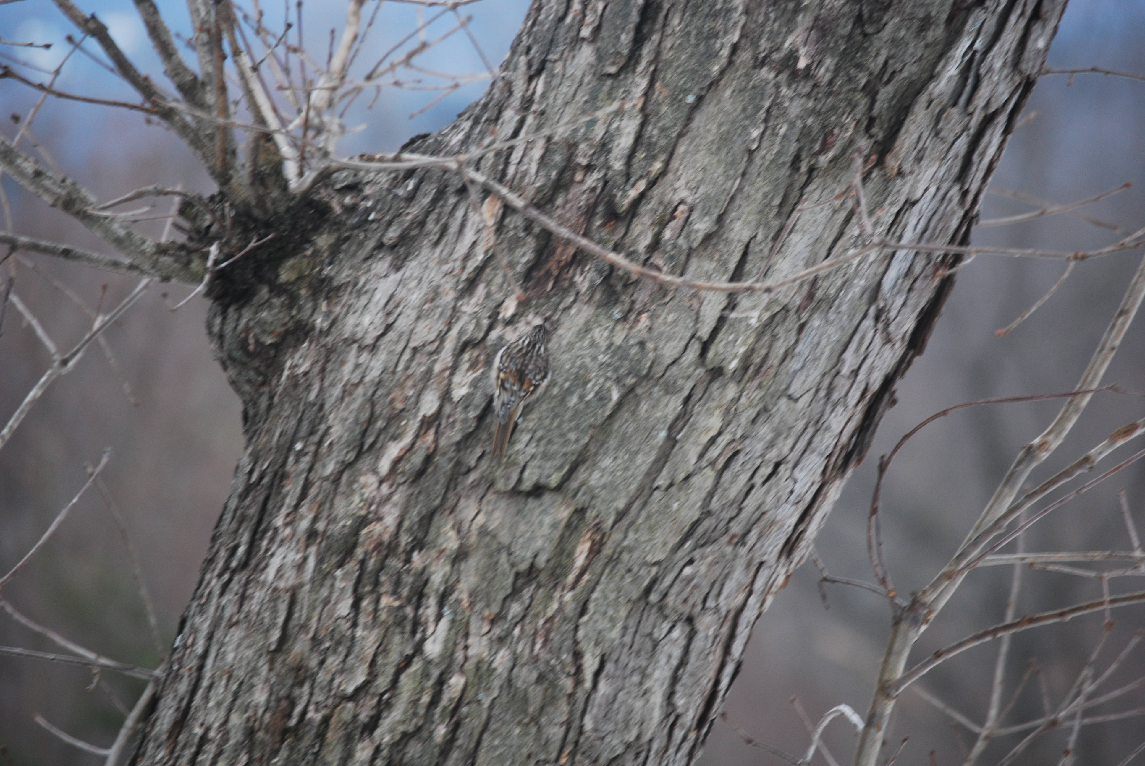 Image of :20080116_home2.JPG