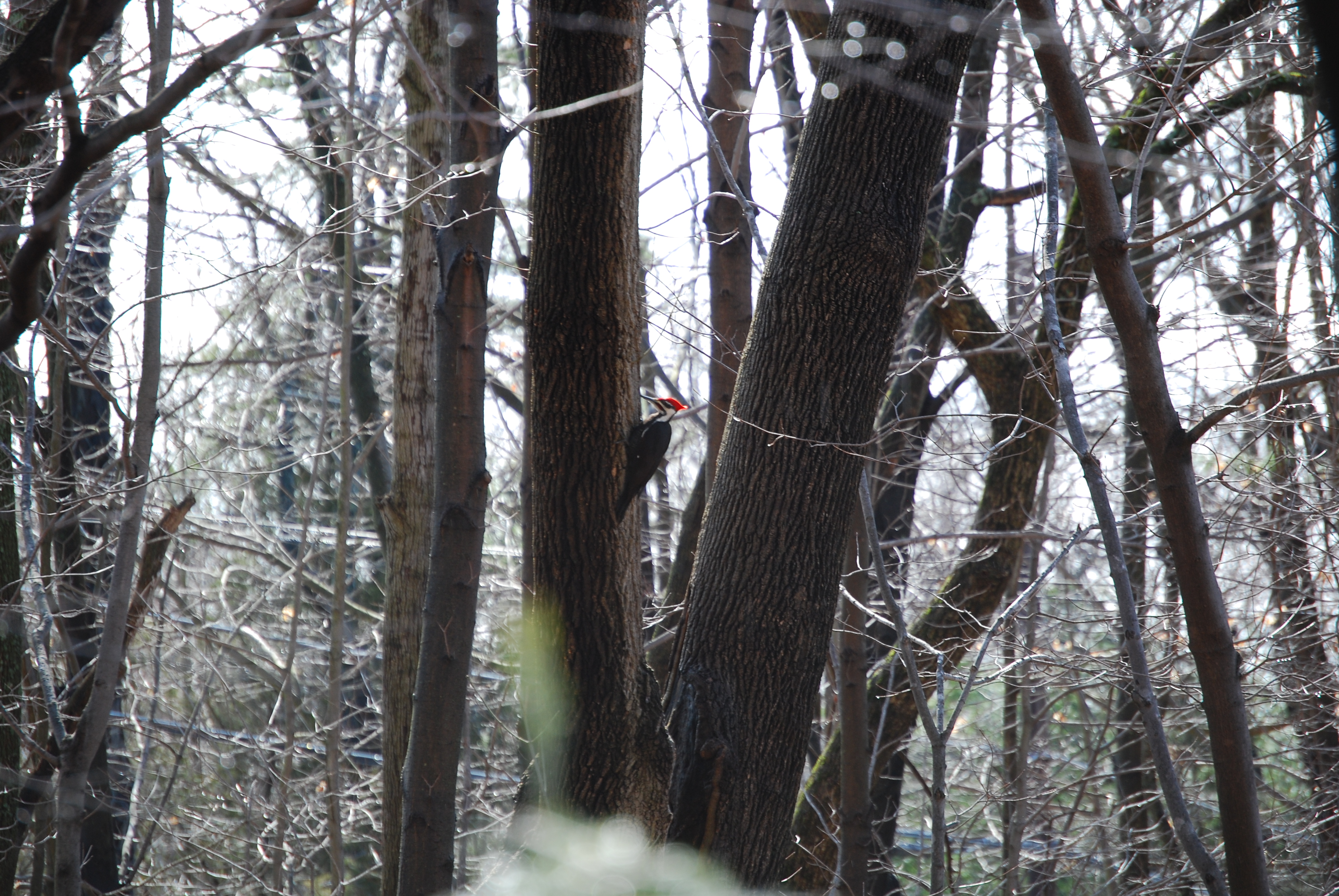 Image of :20080405_home.JPG