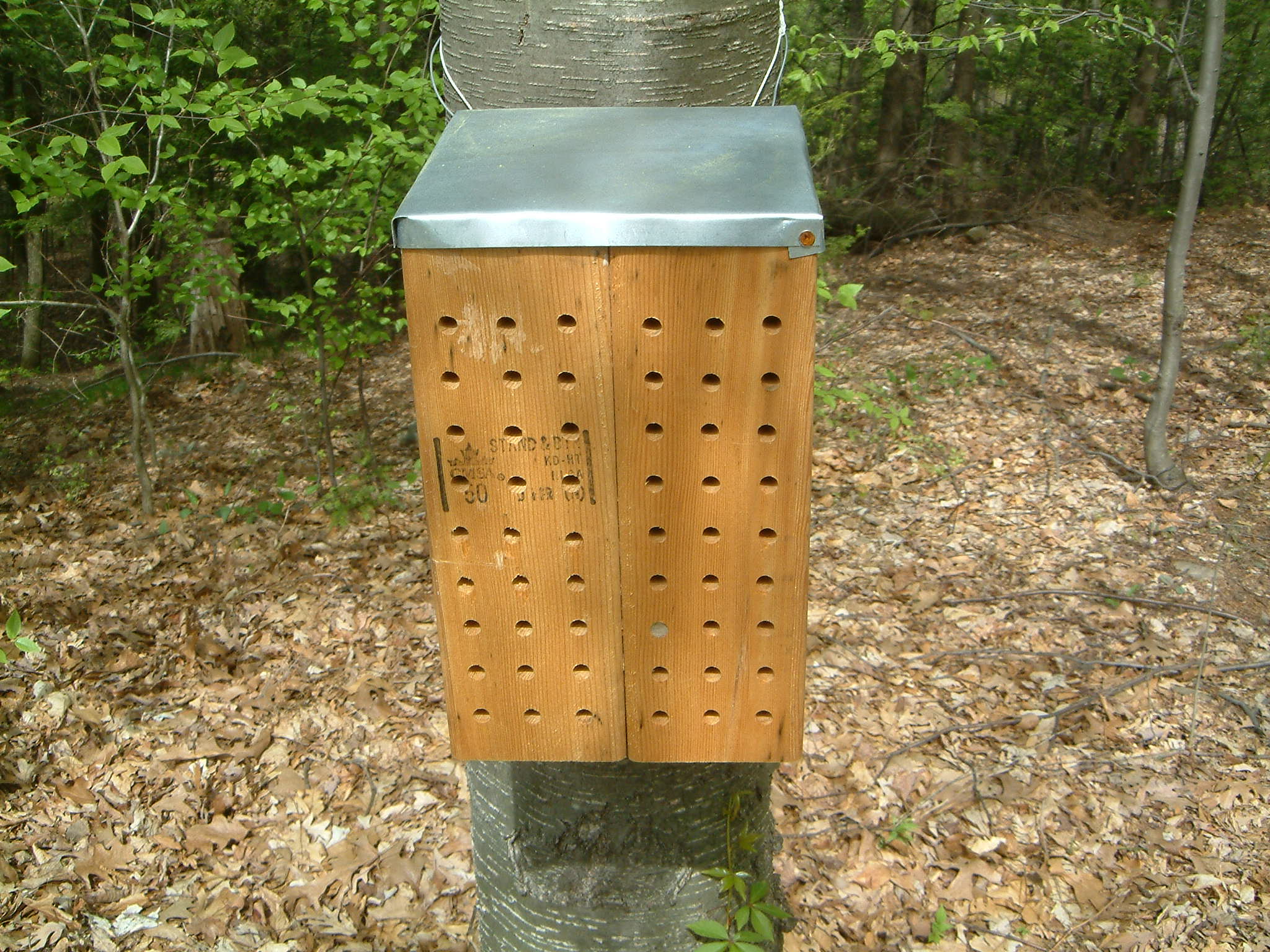 Image of :20060505_beebox.JPG