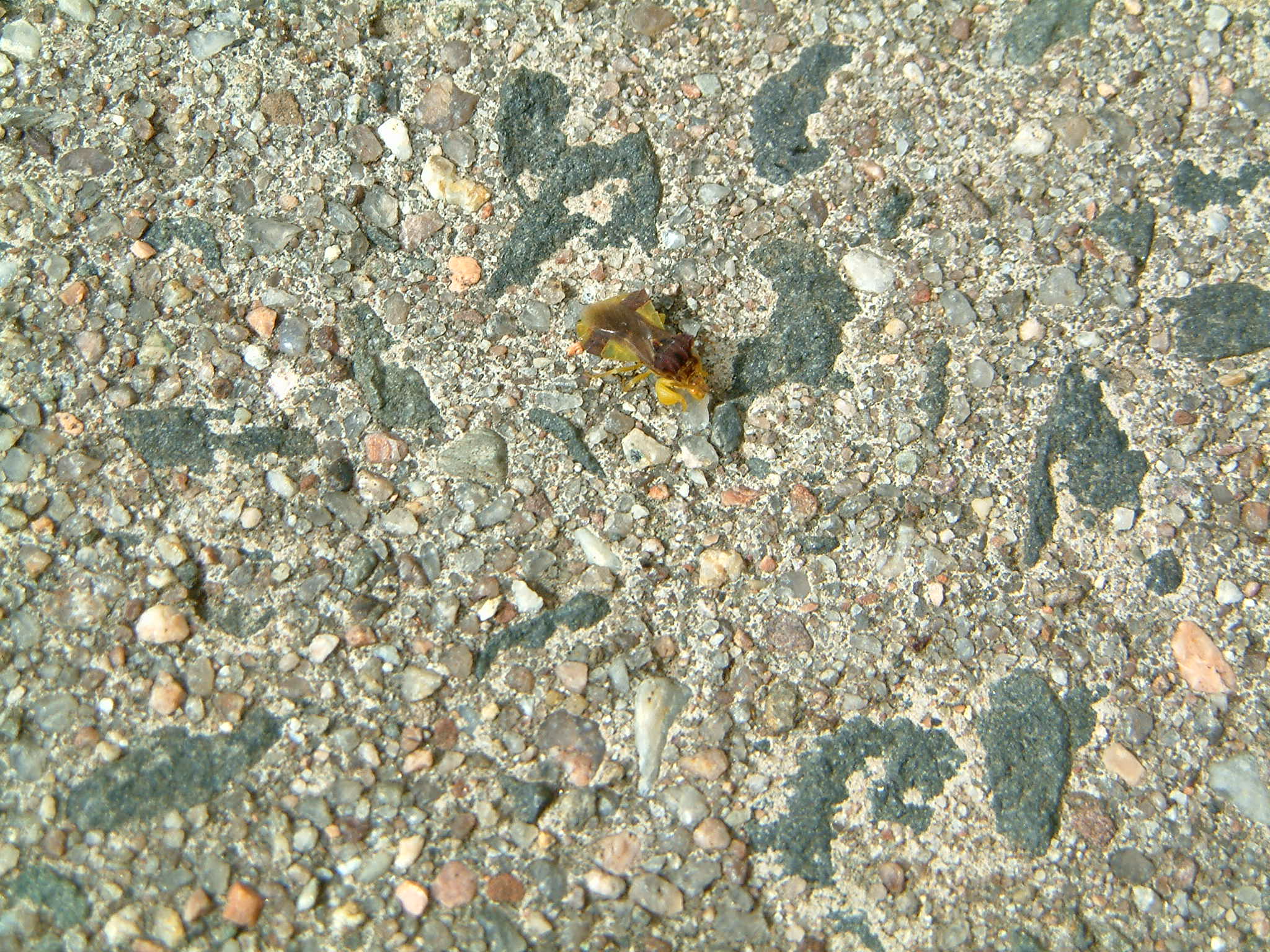 Image of :20060904_home.JPG