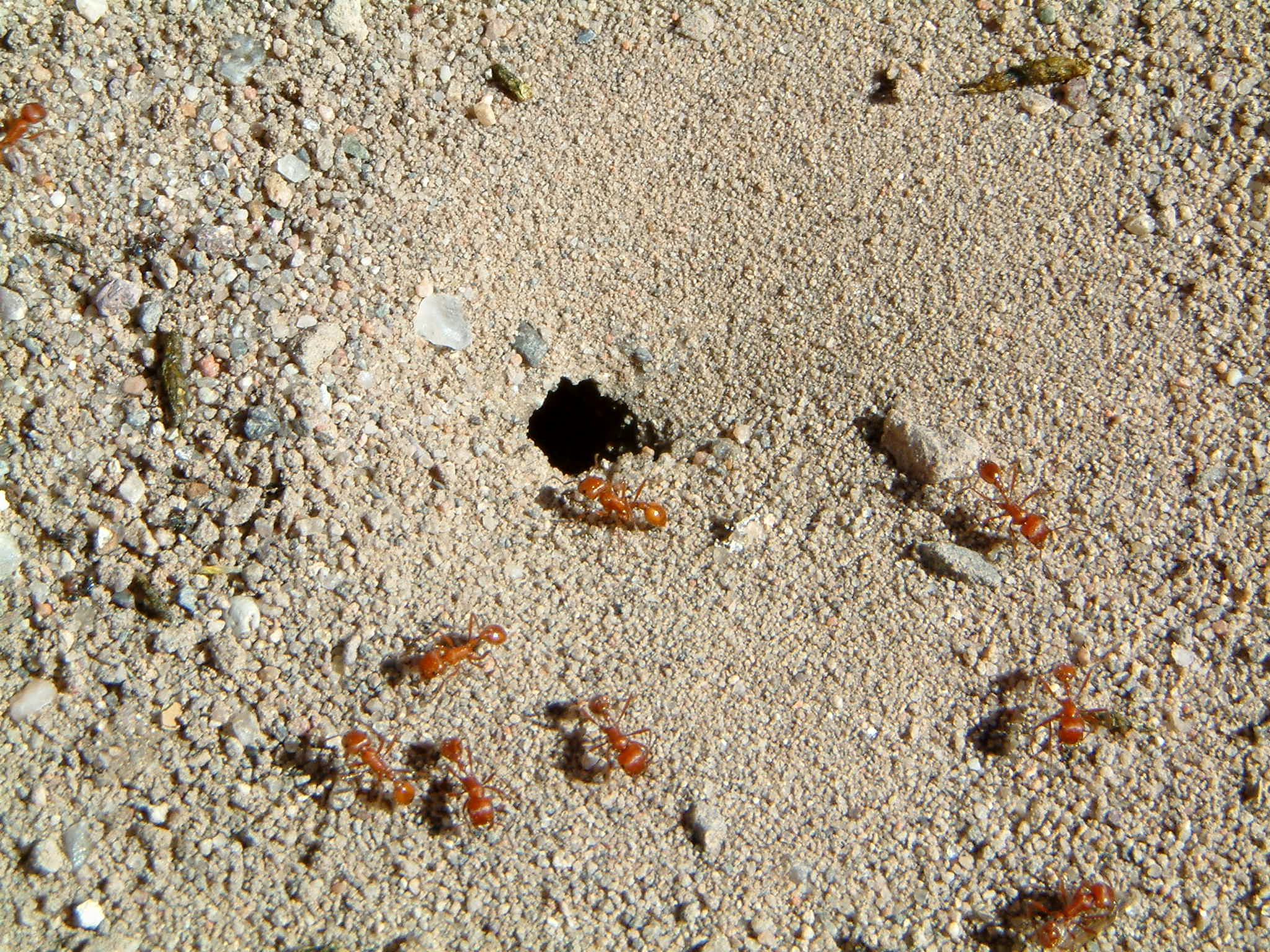 Image of :20070927_puebloB.JPG