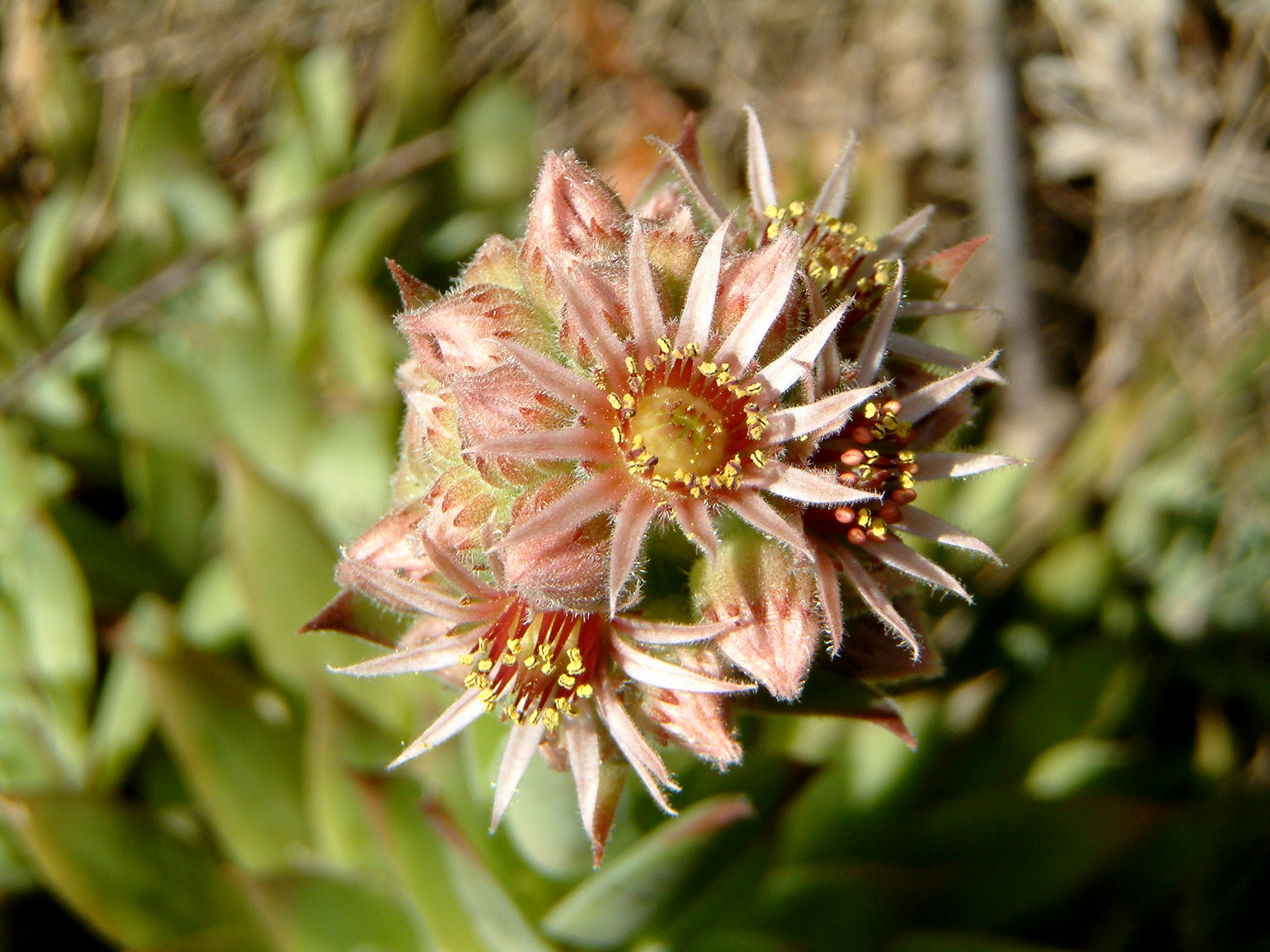 Image of :20060714_home1.JPG