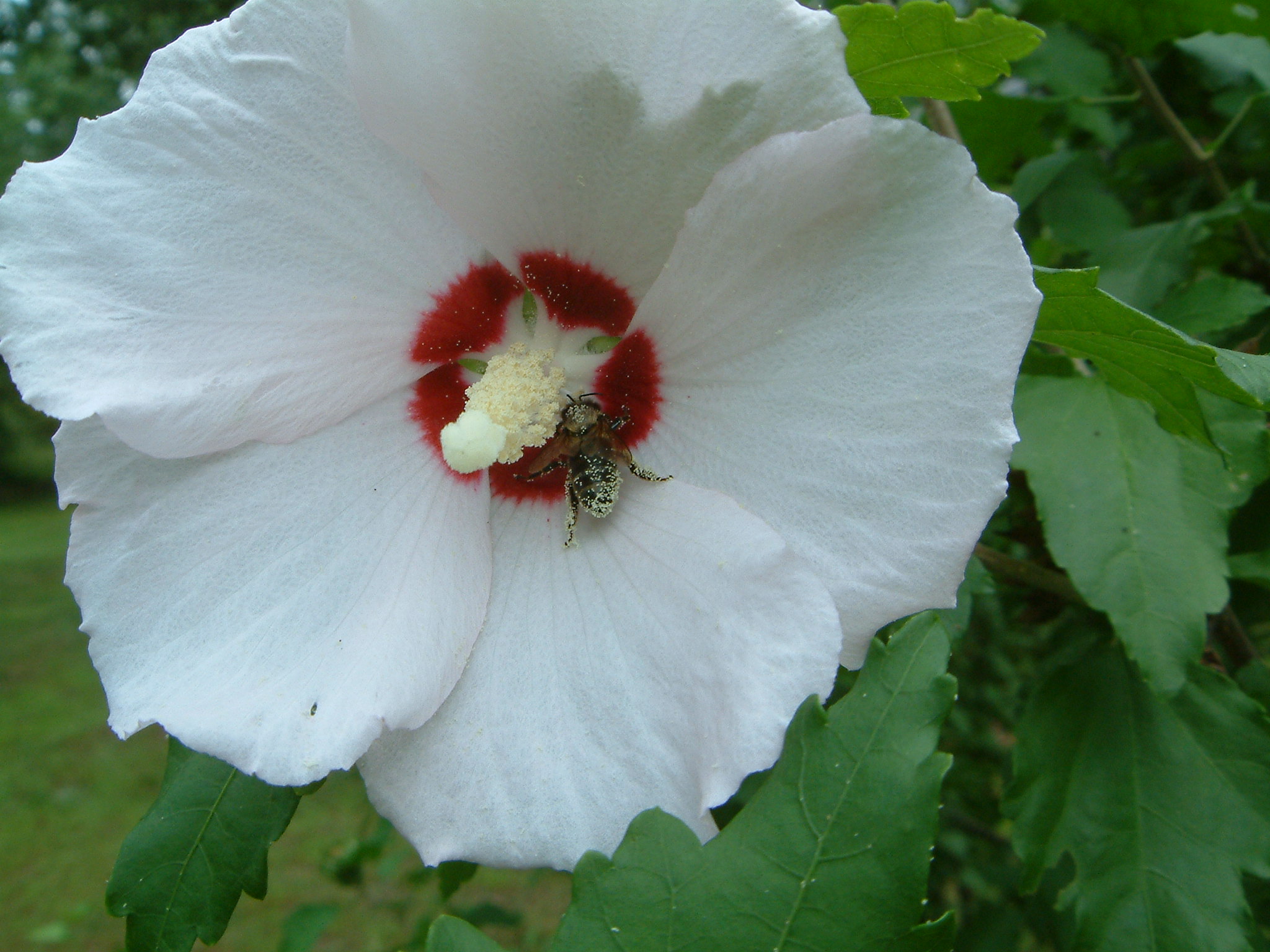 Image of :20060714_home3.JPG