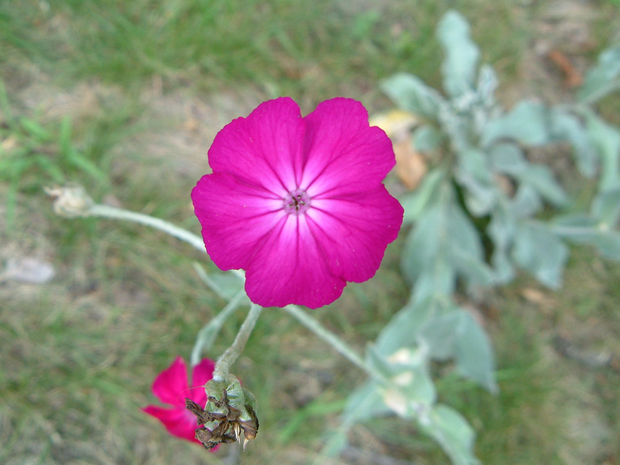 Image of :20060714_home4.JPG