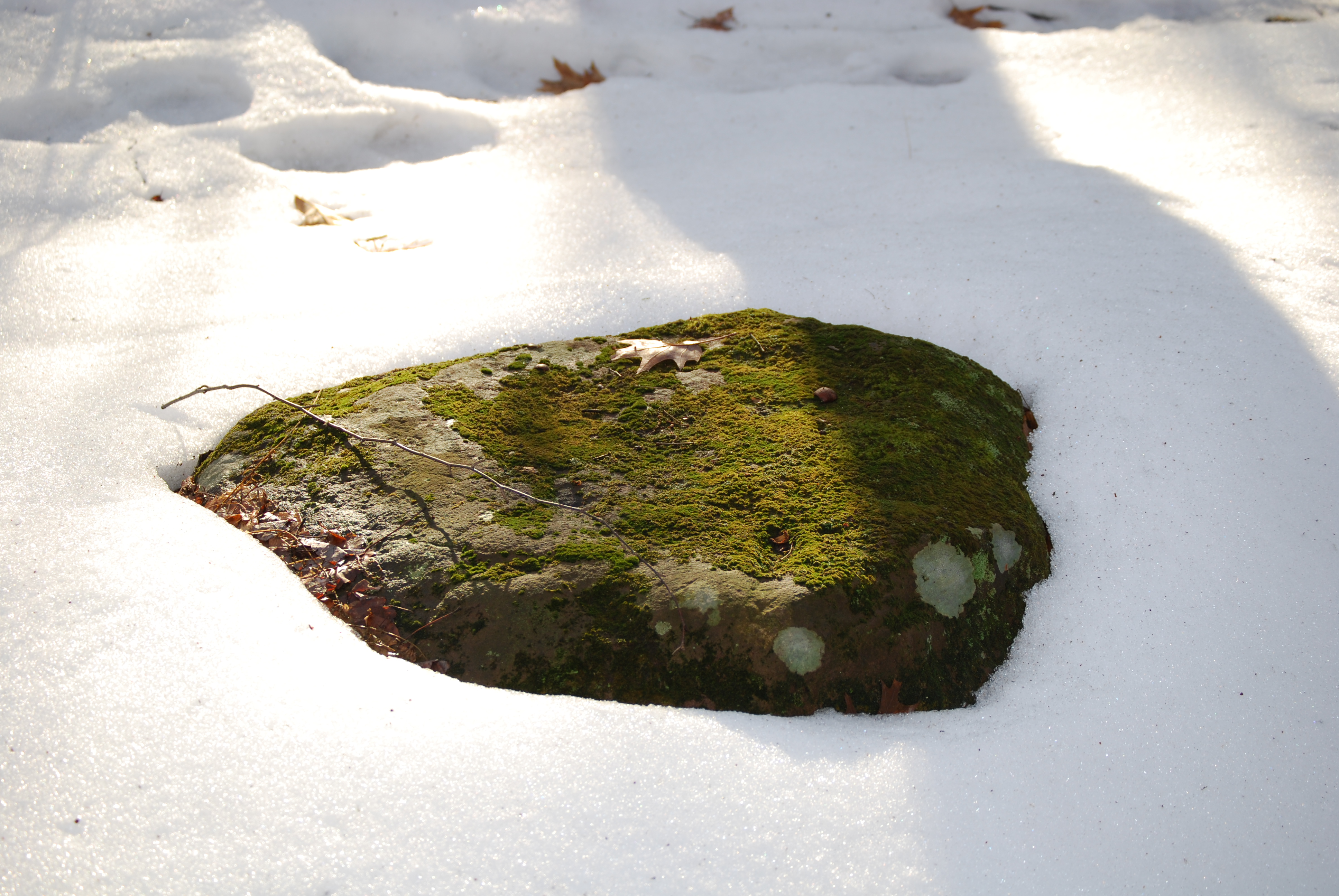 Image of :20071229_trail.JPG