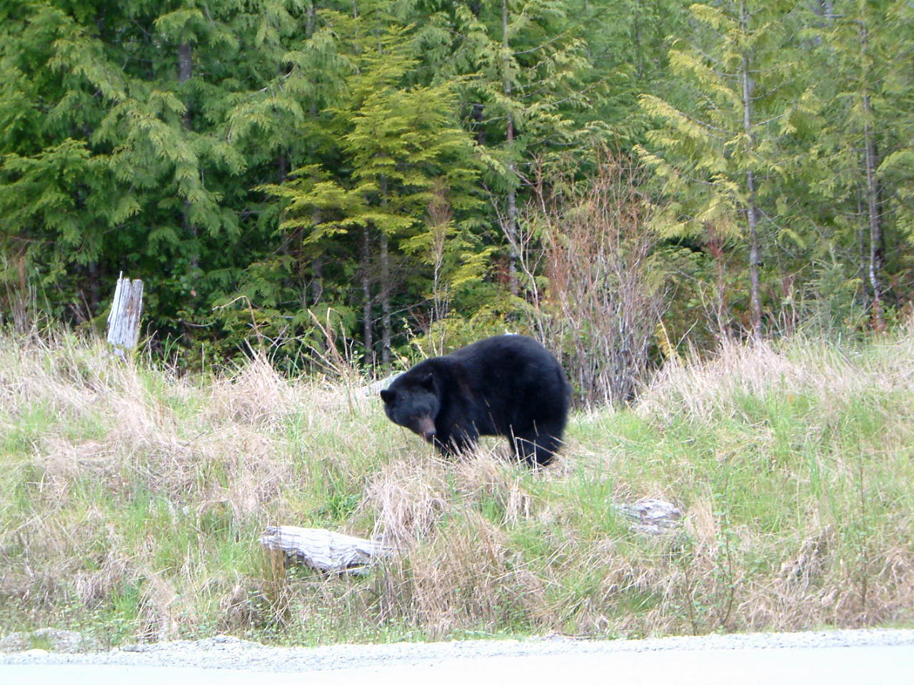 Image of :20030430_island4.JPG