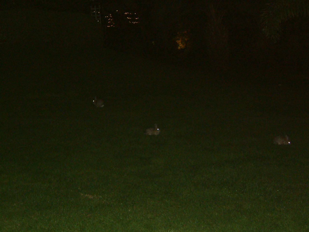 Image of :20030923_newportbeach.JPG