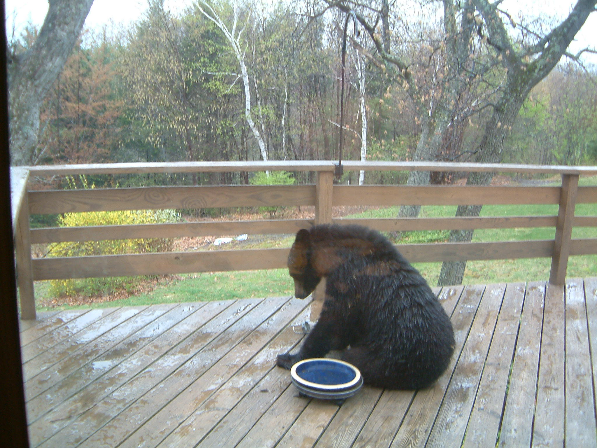 Image of :20050427_home.JPG