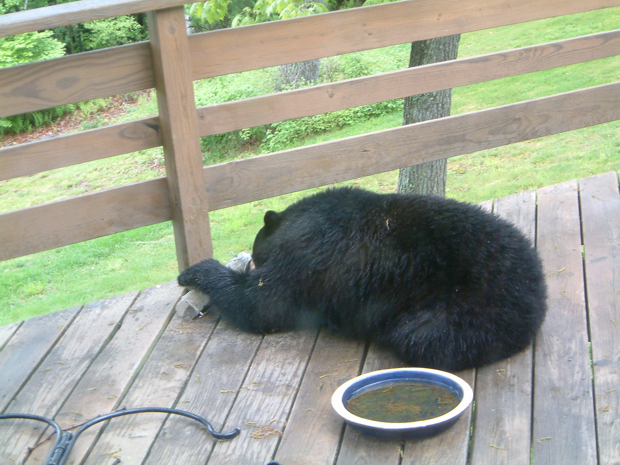 Image of :20050524_home.JPG