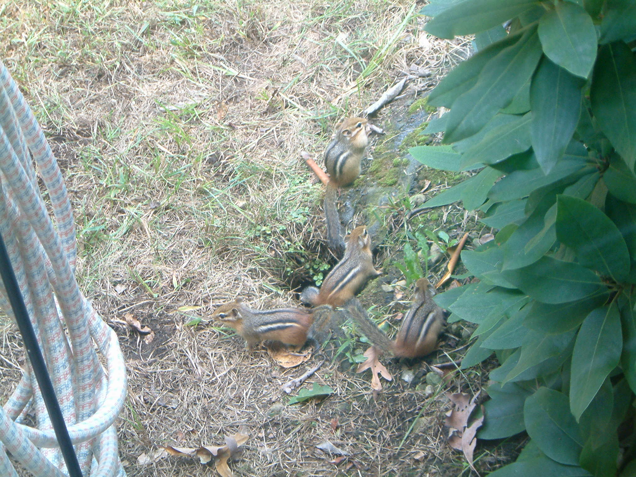 Image of :20050923_home.JPG