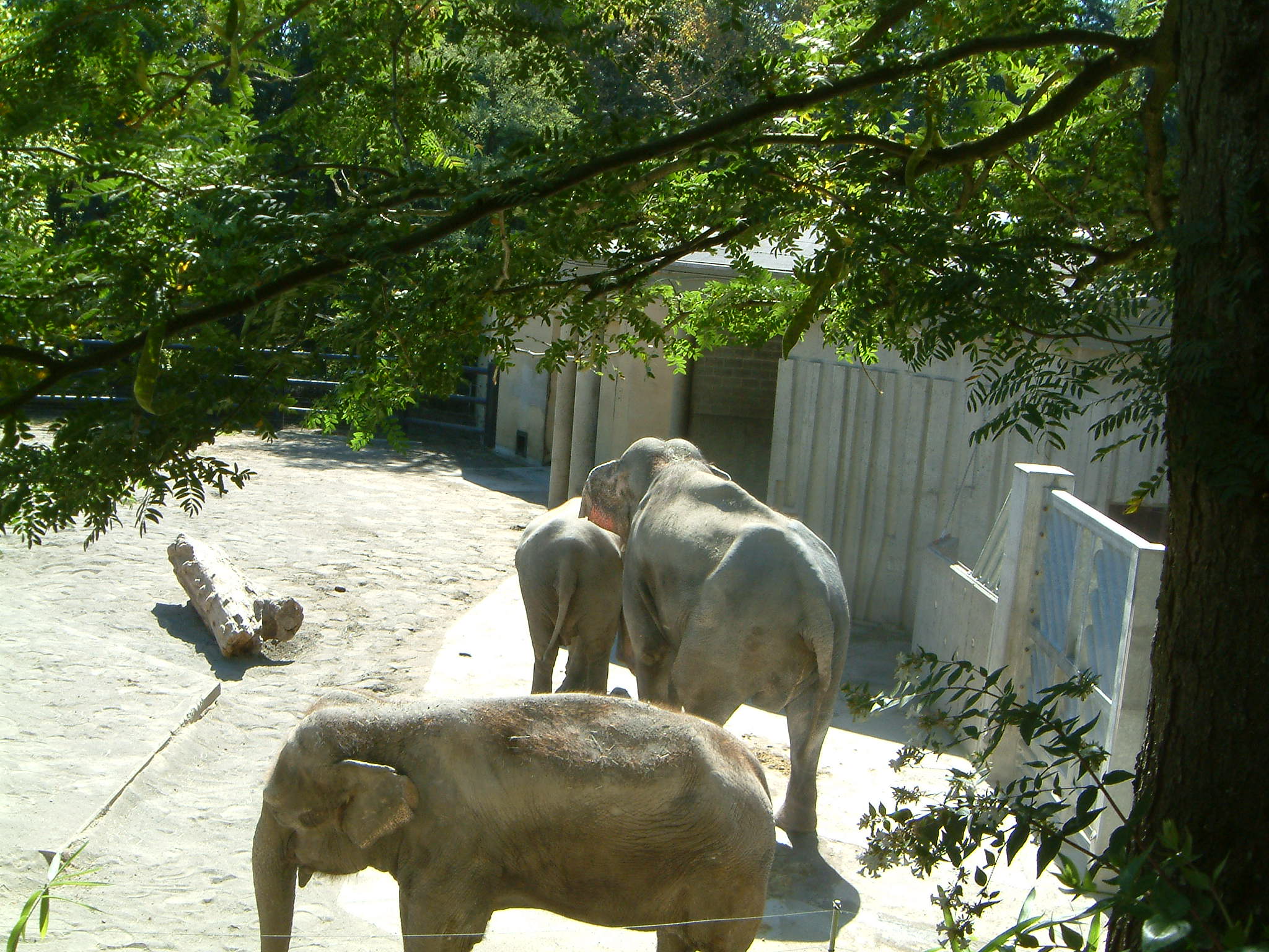 Image of :20050925_portland_zoo.JPG
