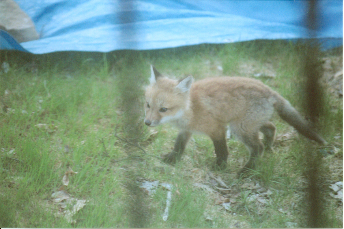 Image of :20060430_home.JPG