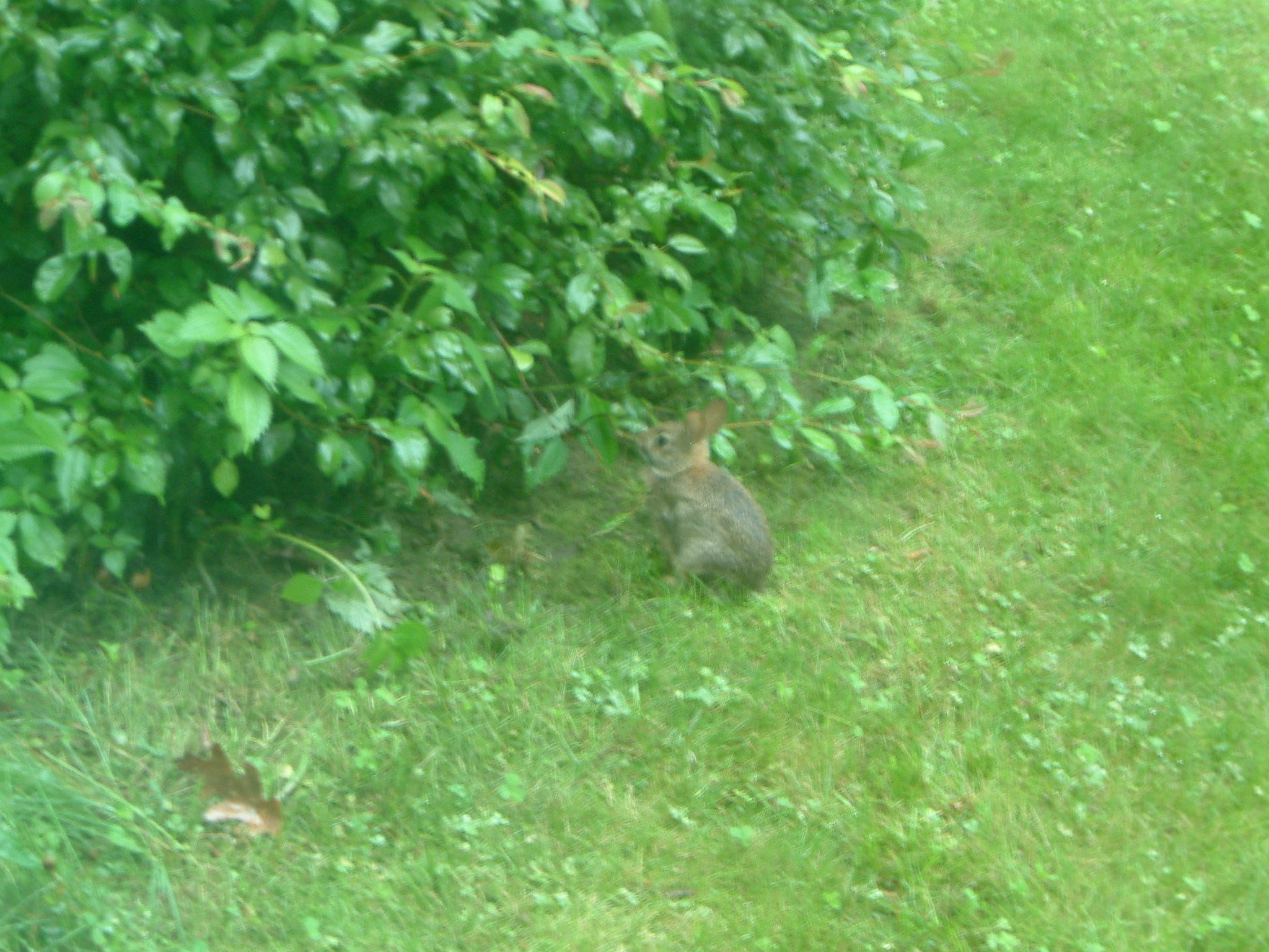 Image of :20070723_home.JPG