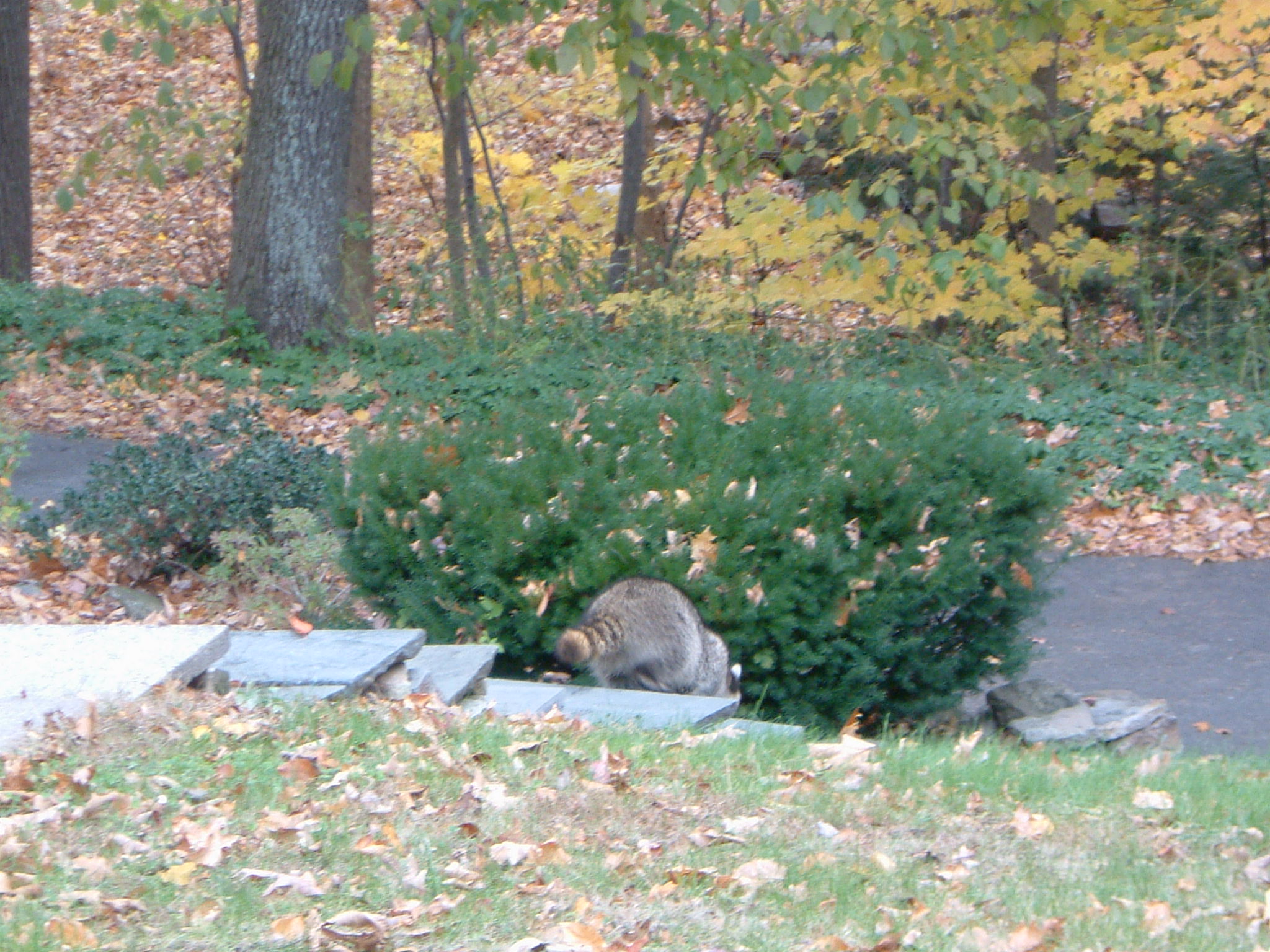 Image of :20071109_home.JPG