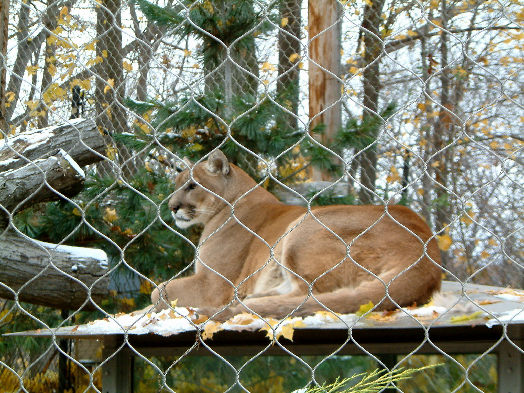 Image of :20071124_spzoo4.JPG