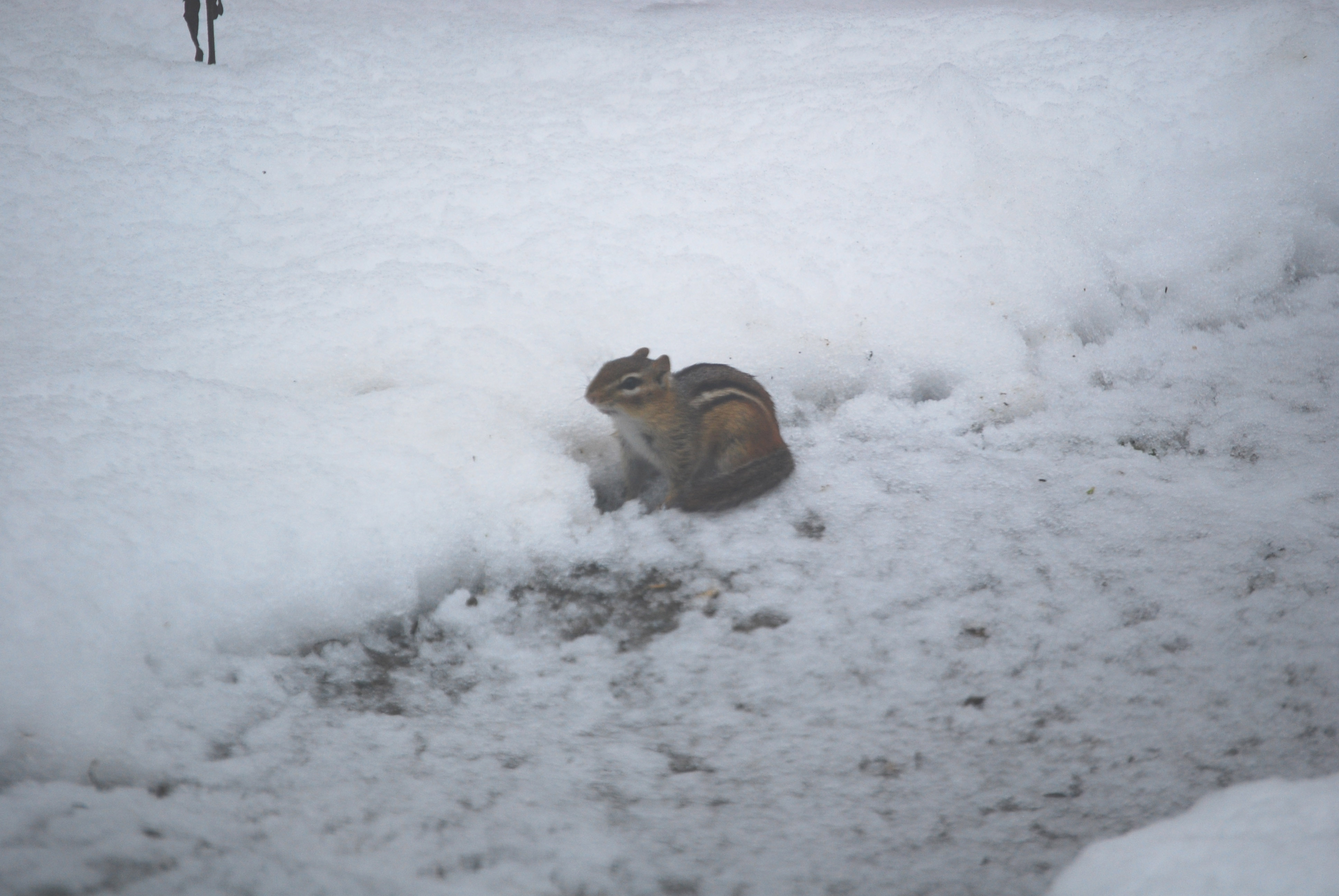 Image of :20080227_home.JPG