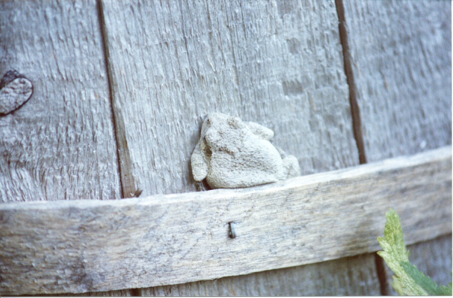 Image of :20010727_home.JPG