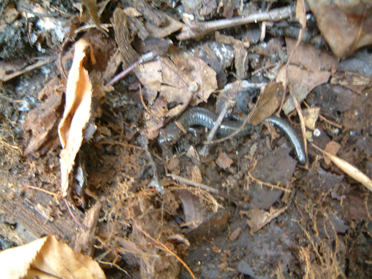 Image of :20041024_home.JPG