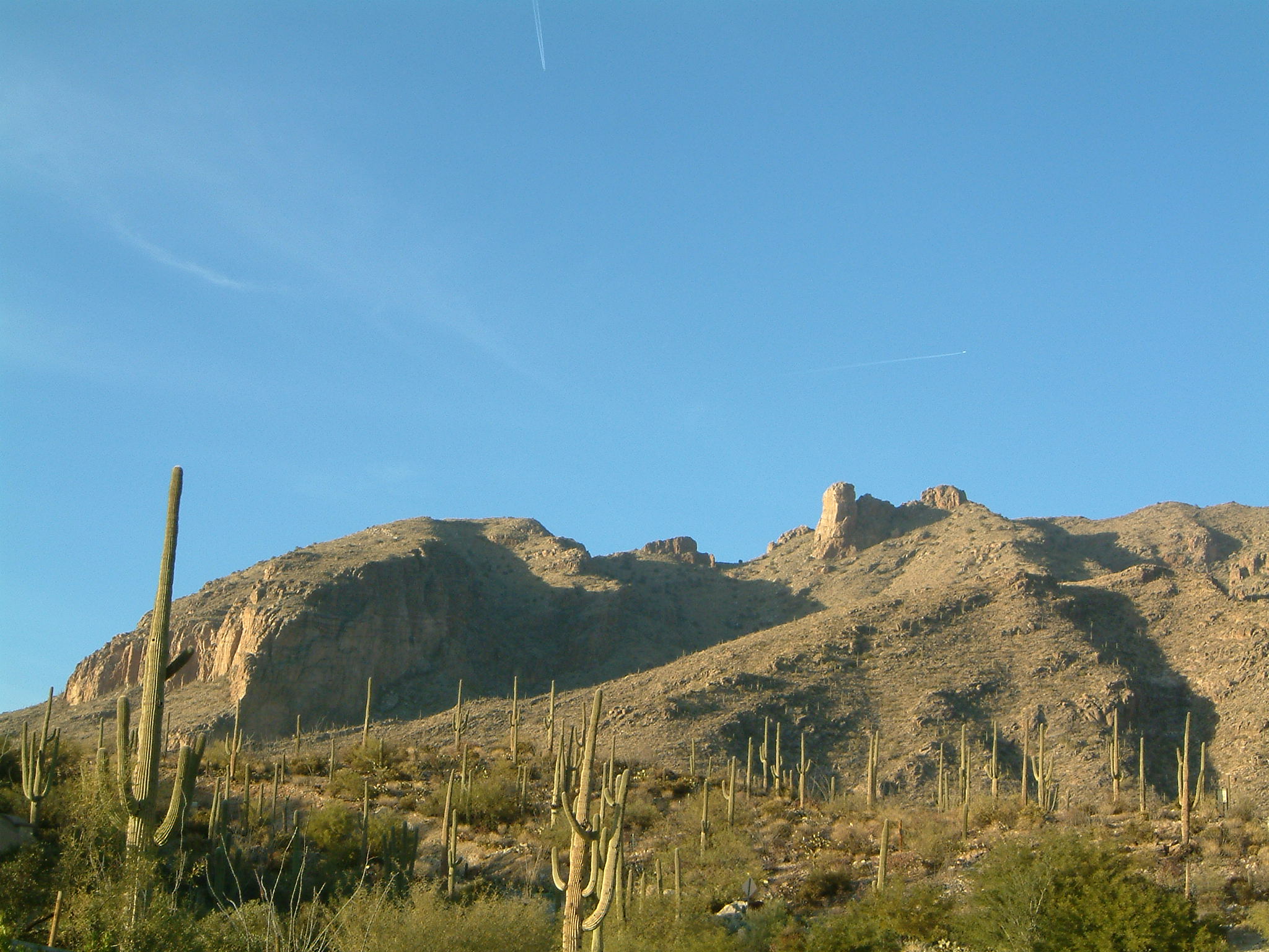 Image of :20060112_tucson2.JPG