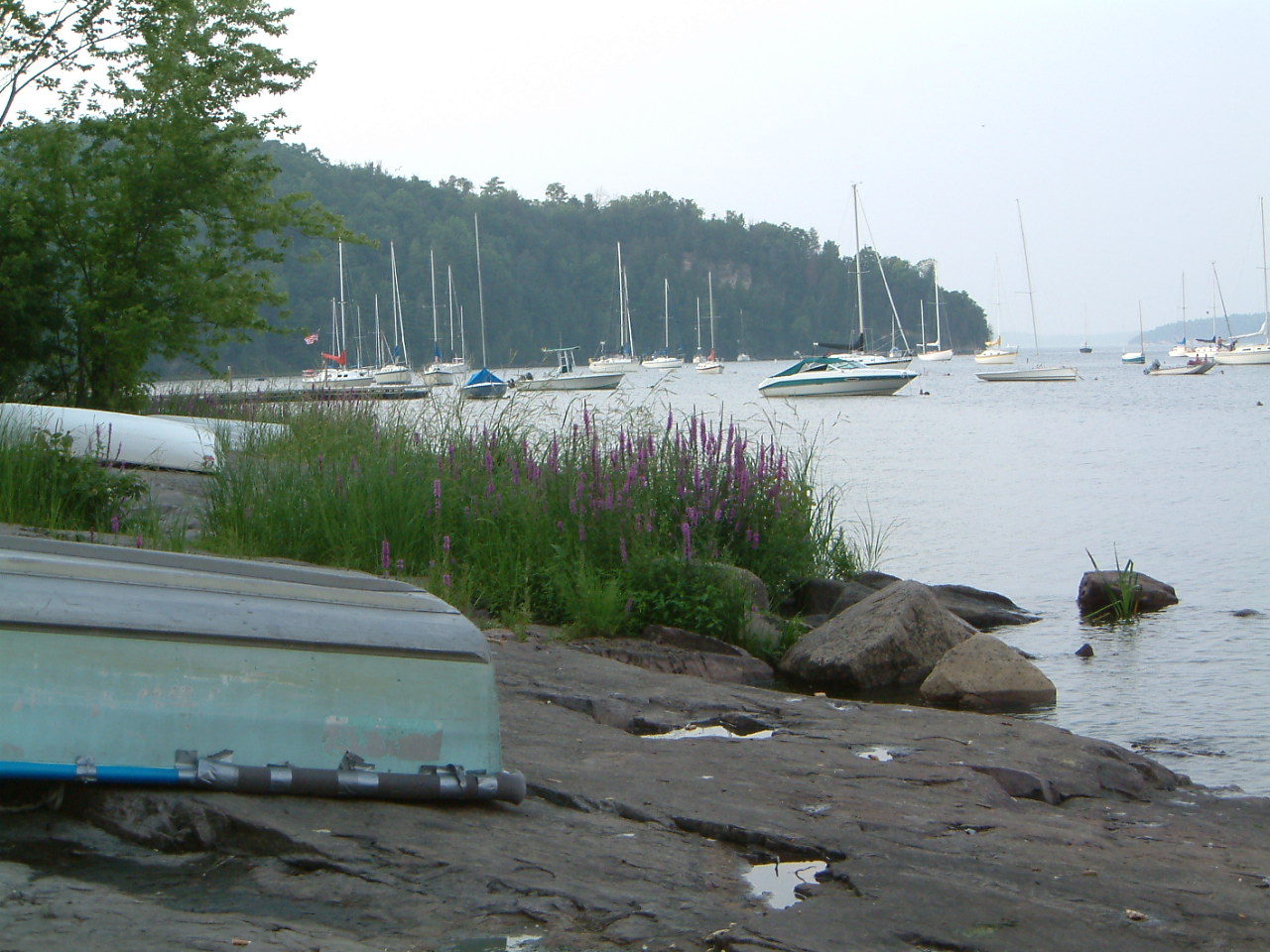 Image of :20030803_bay.JPG