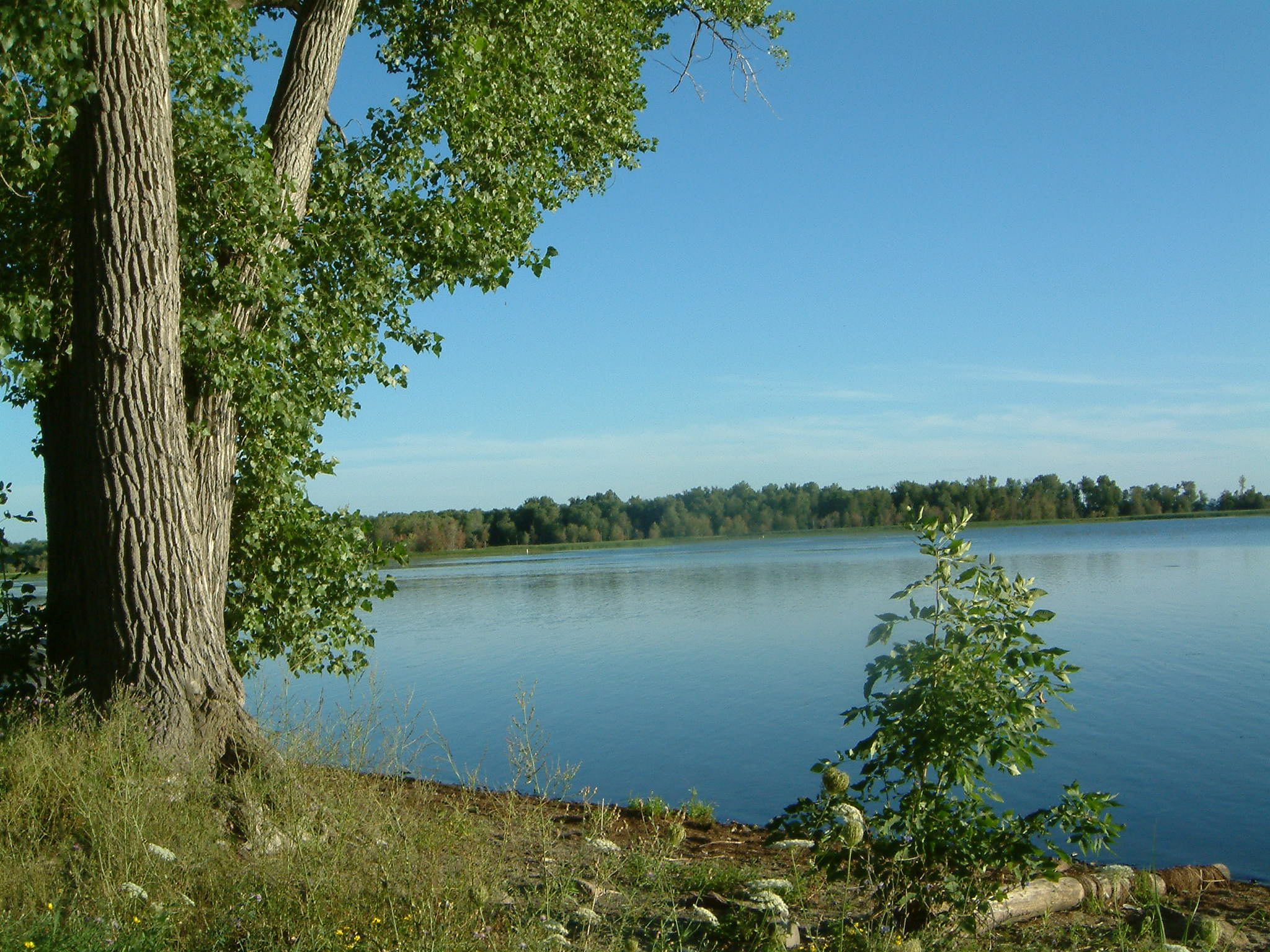 Image of :20050806_champlain.JPG