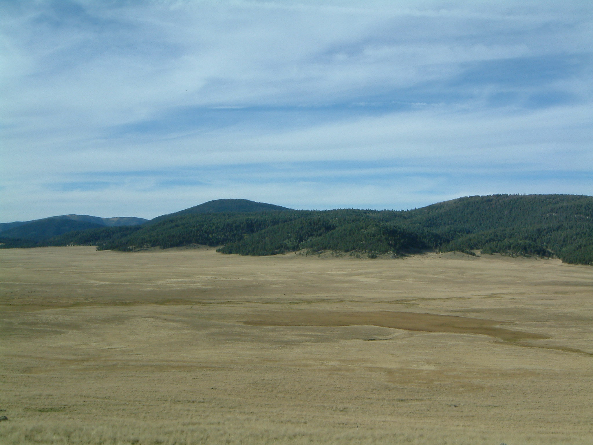 Image of :20070927_elk.JPG