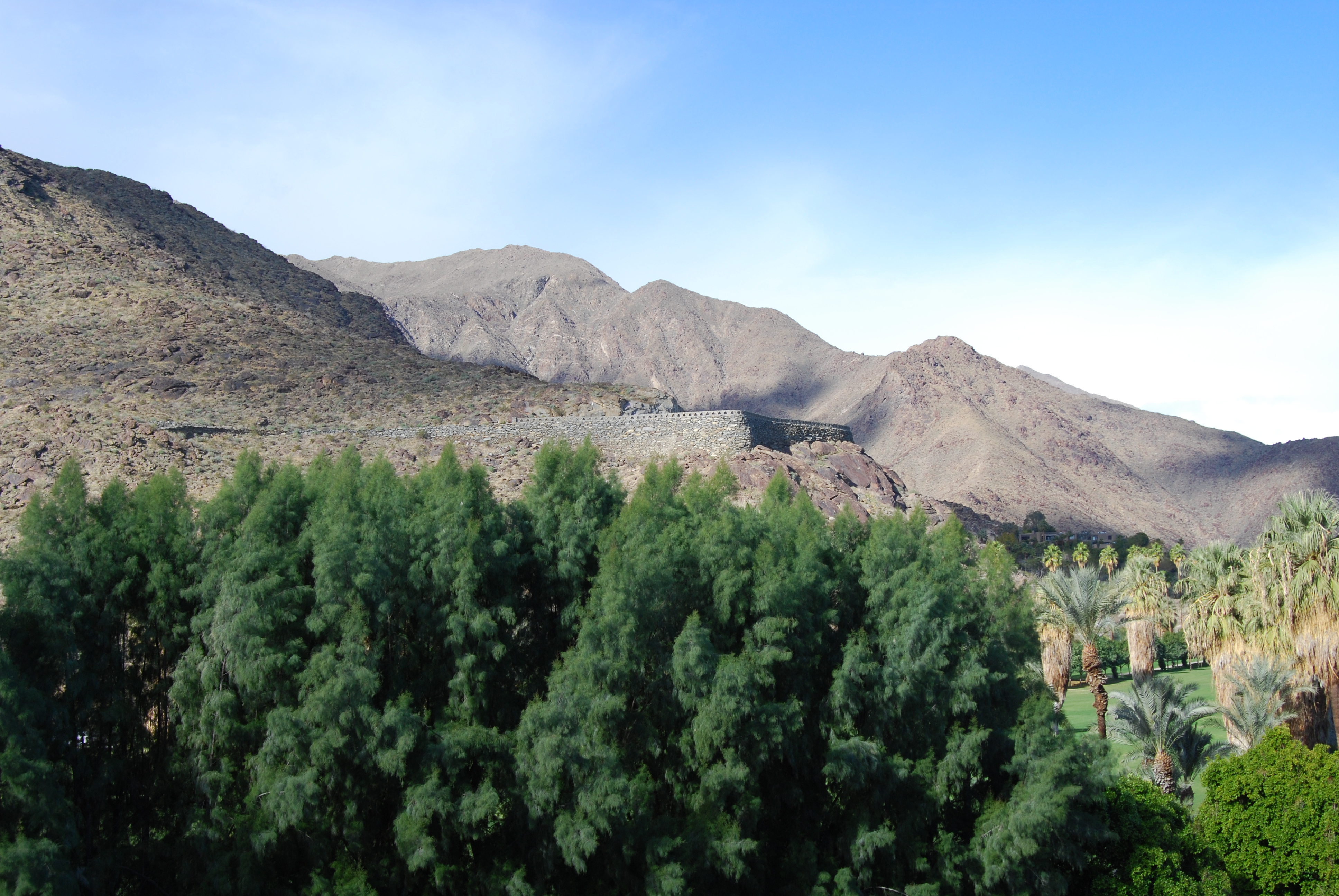 Image of :20080106_ps1.JPG