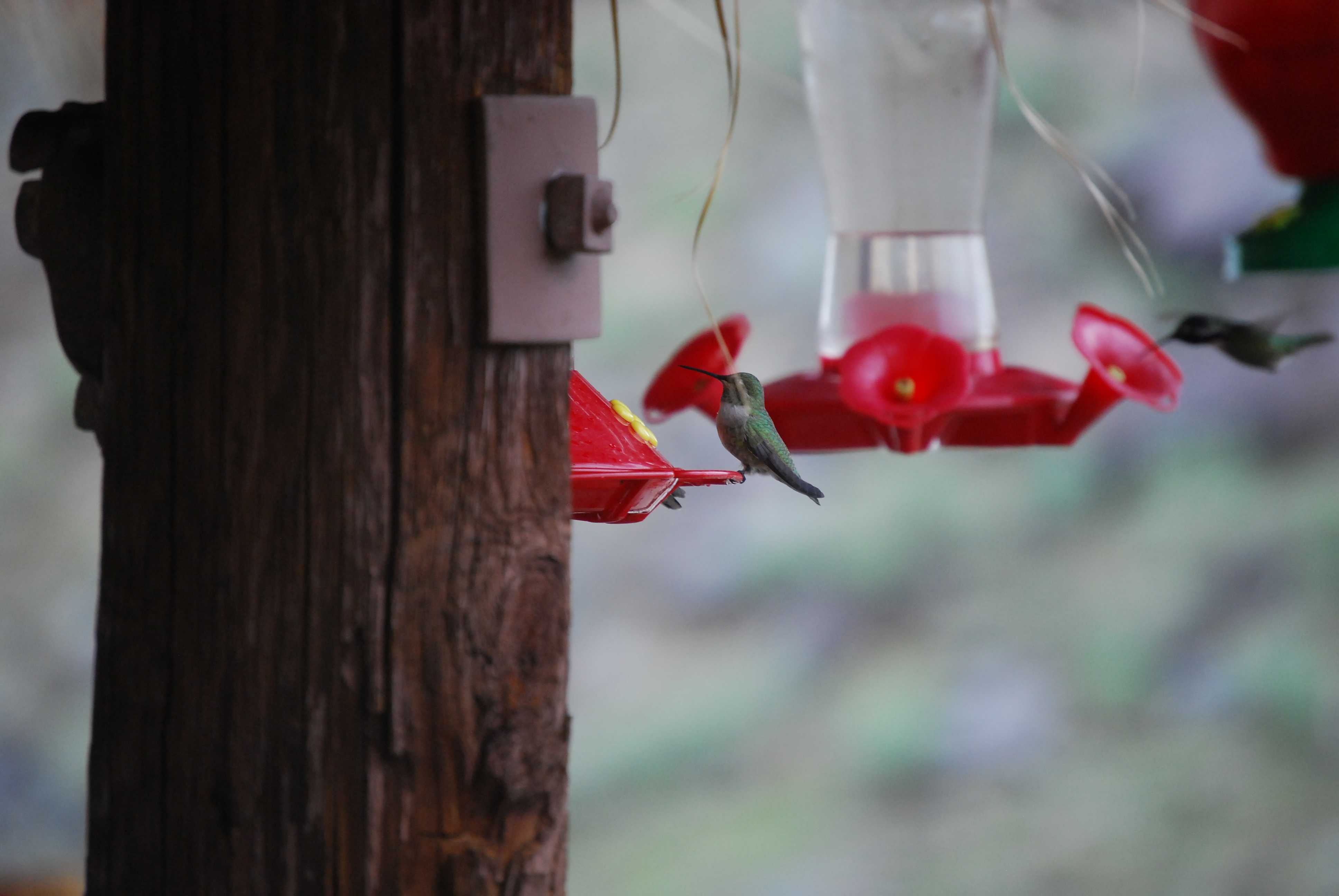 Image of :20080106_ps4.JPG