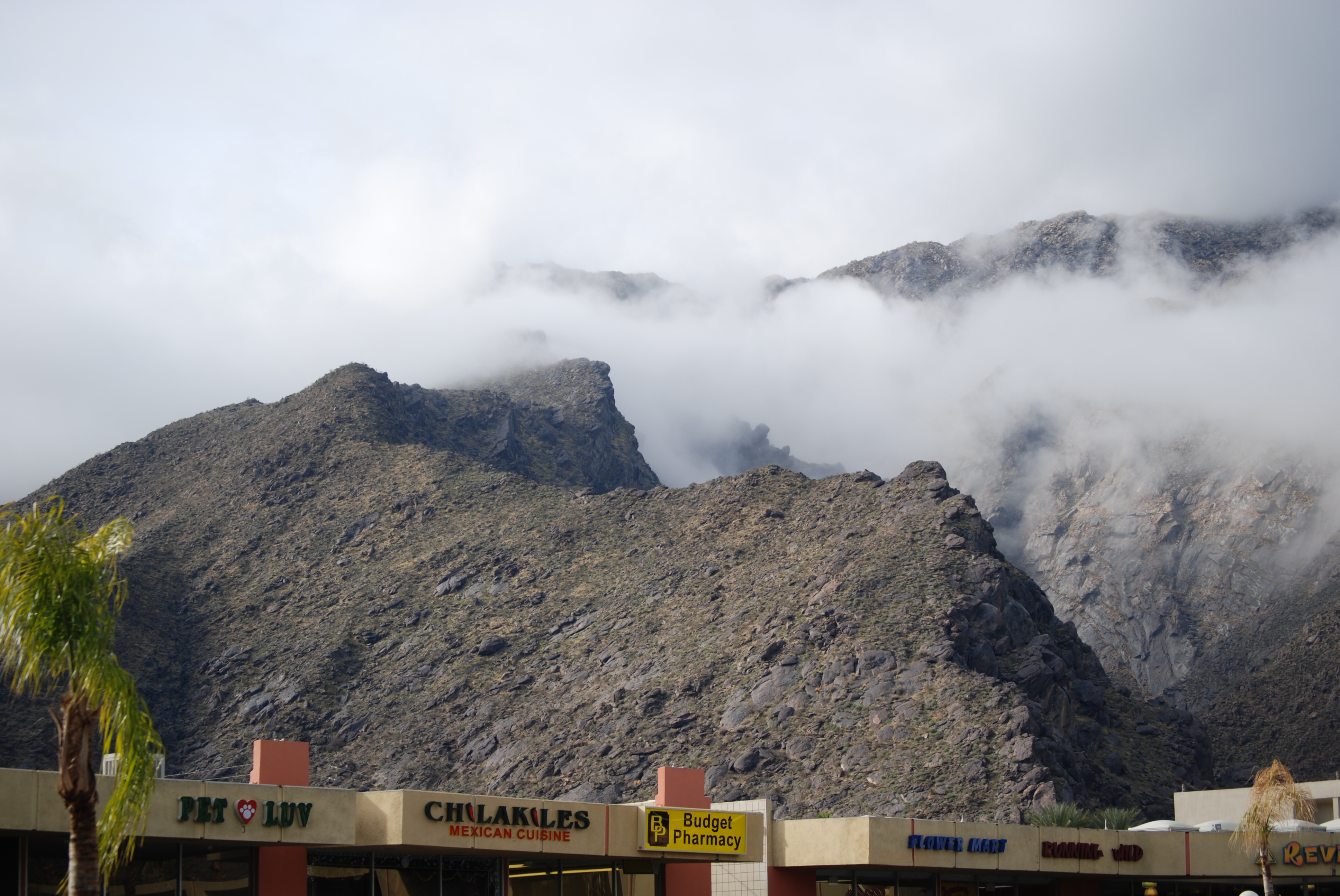 Image of :20080107_ps.JPG