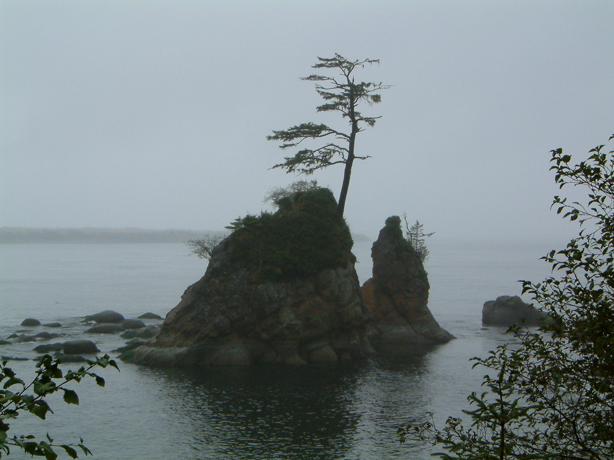 Image of :20050929_oregon.JPG
