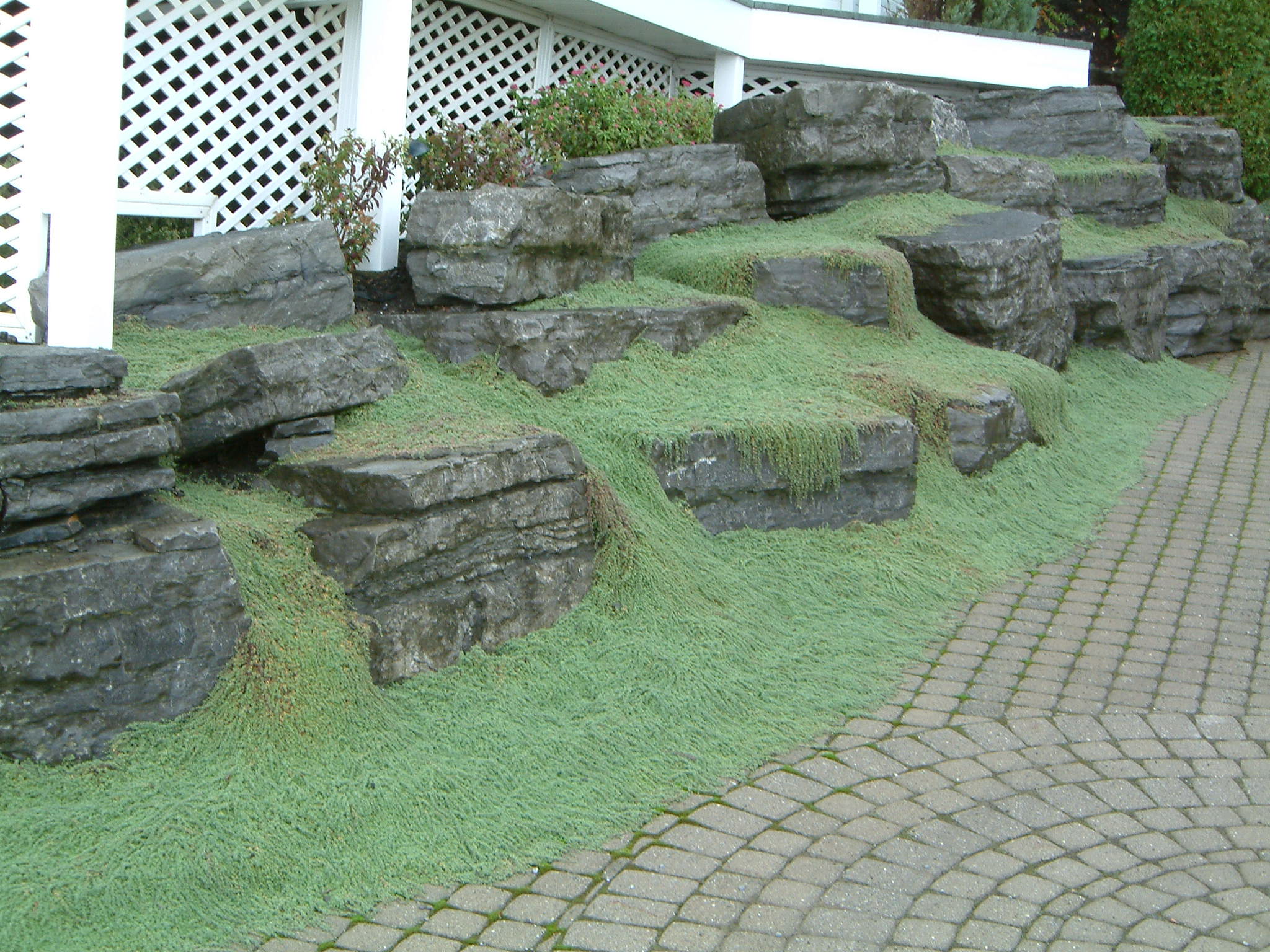 Image of :20060924_iledorlean2.JPG