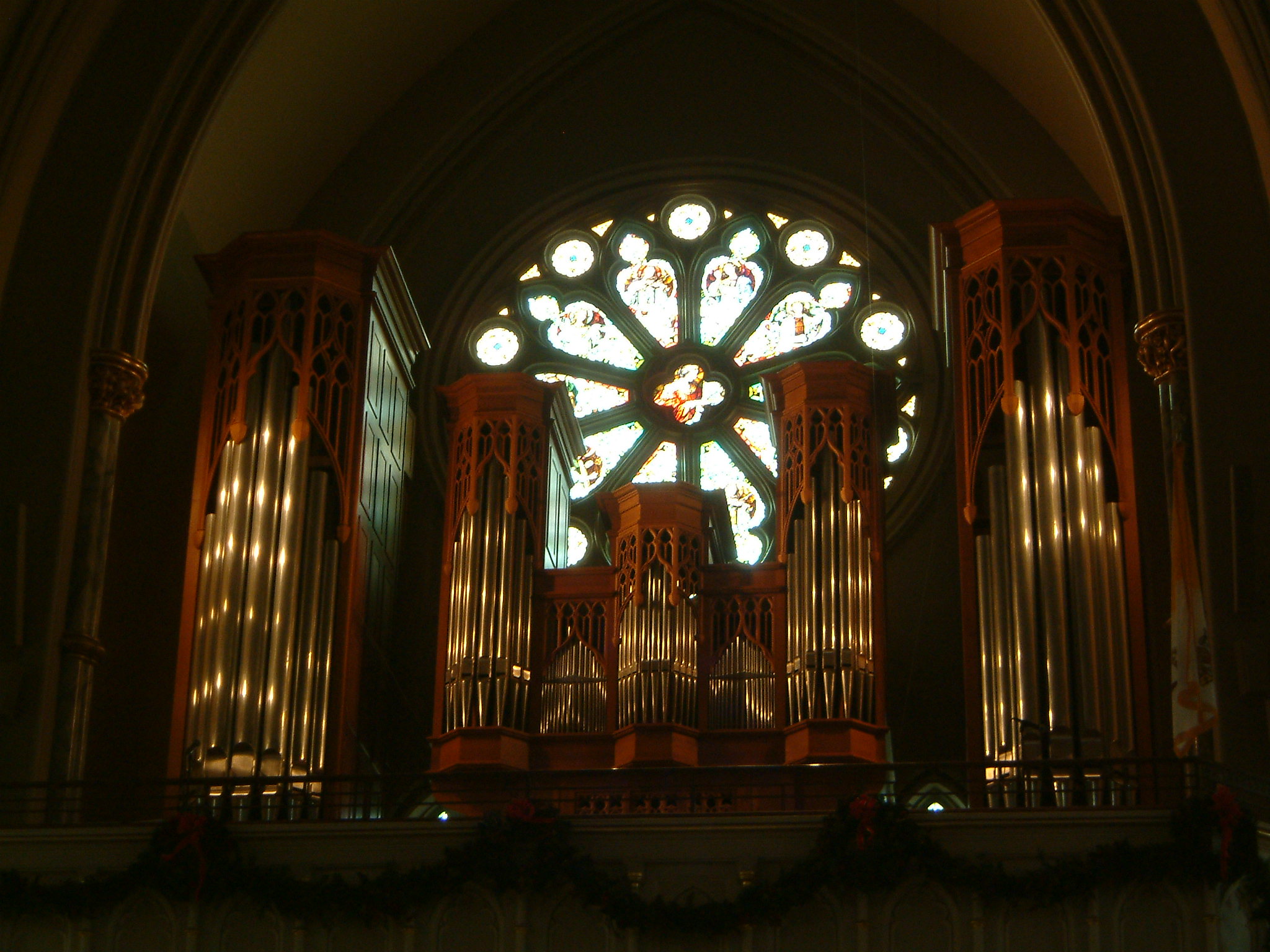 Image of :20070107_savannah.JPG