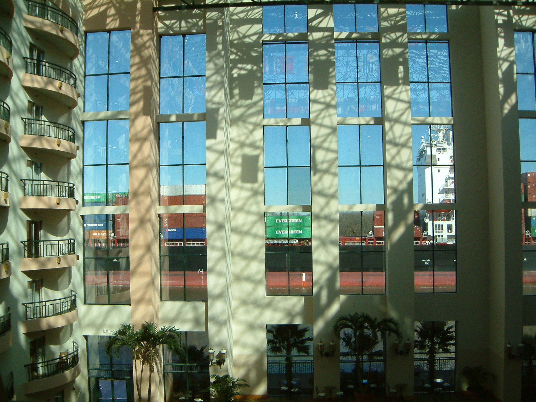 Image of :20070109_savannah.JPG