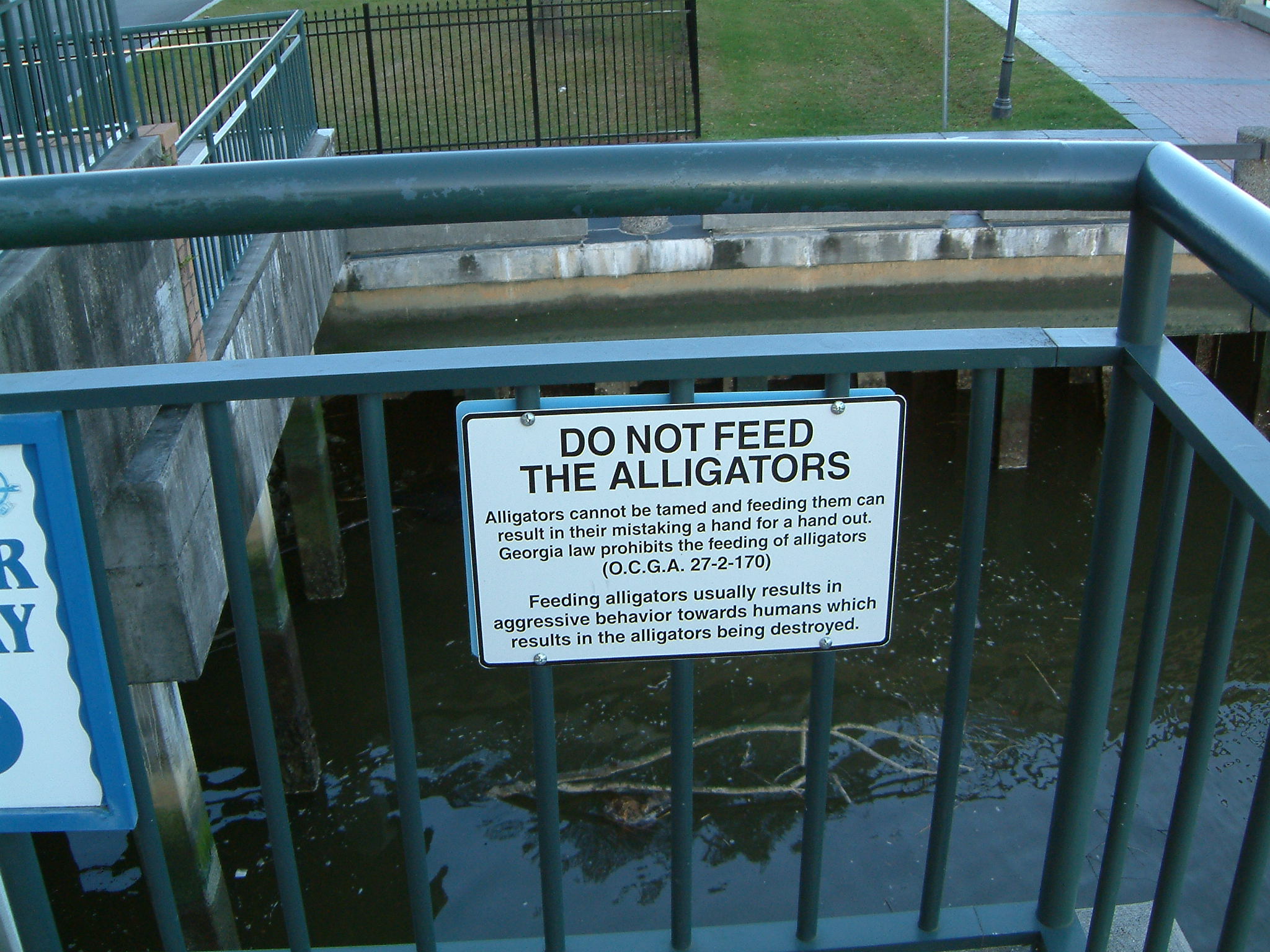 Image of :20070111_savannah.JPG