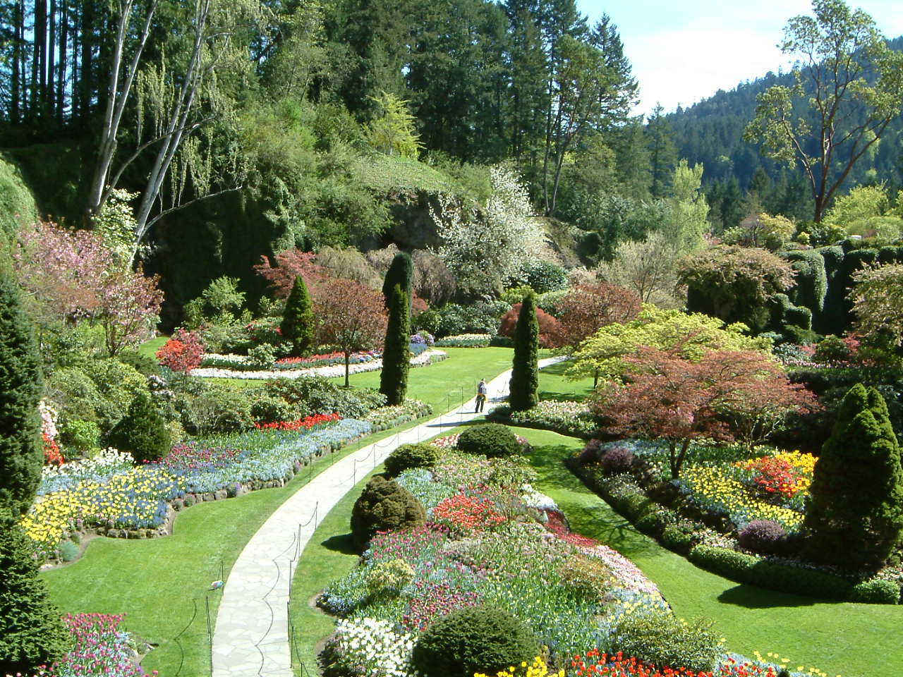 Image of :20030428_butchardt1.JPG