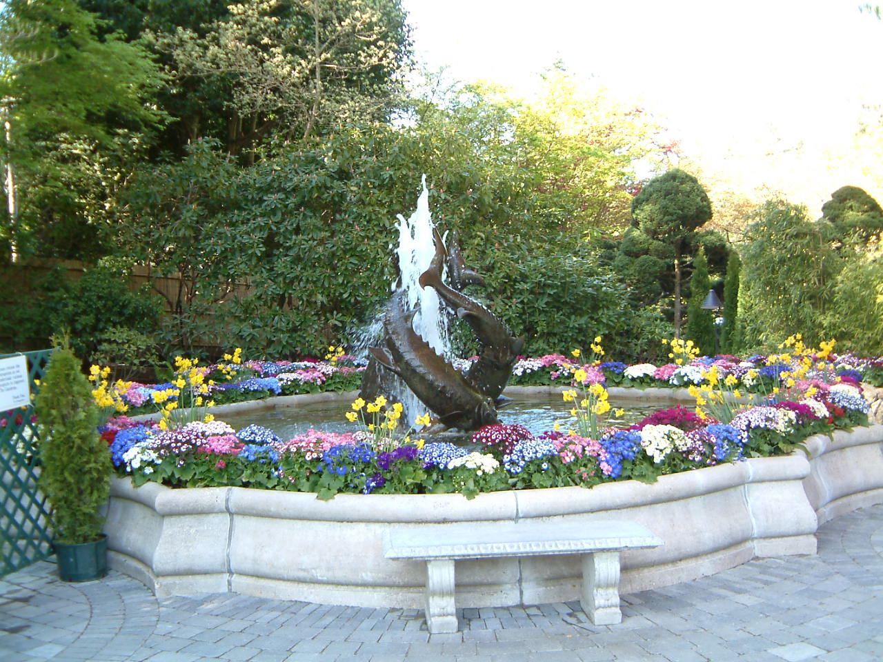 Image of :20030428_butchardt2.JPG