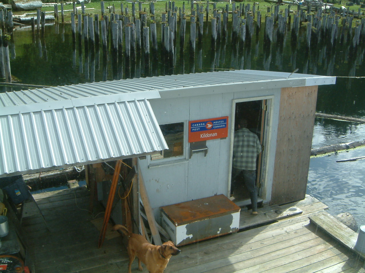 Image of :20030429_bamfield1.JPG