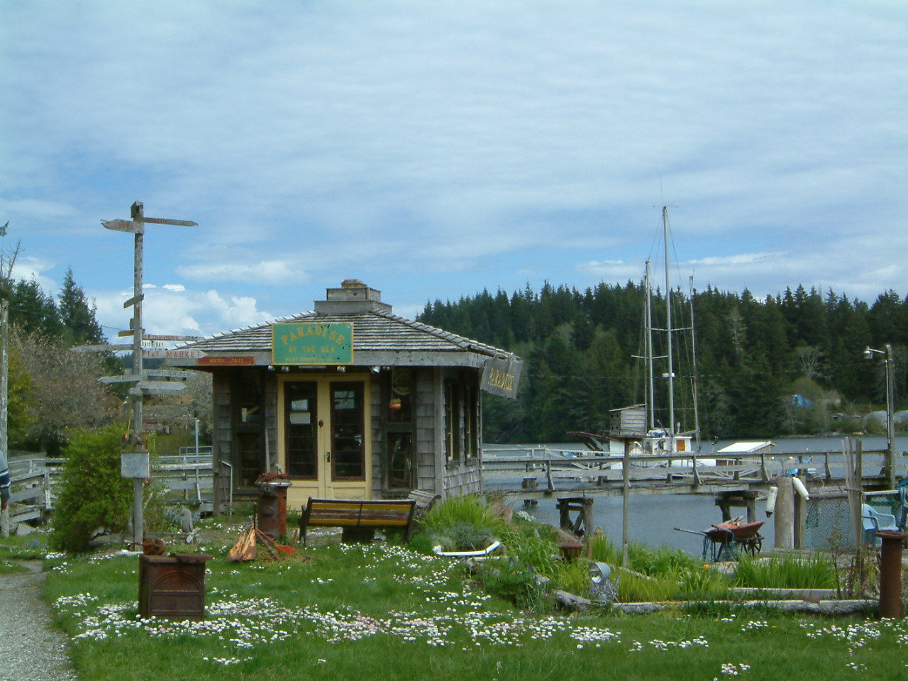 Image of :20030429_bamfield4.JPG
