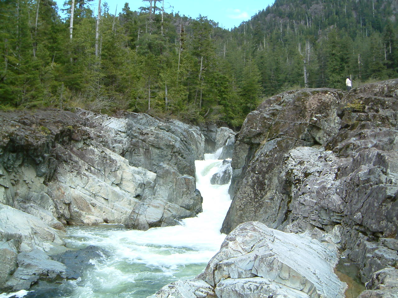 Image of :20030430_island2.JPG